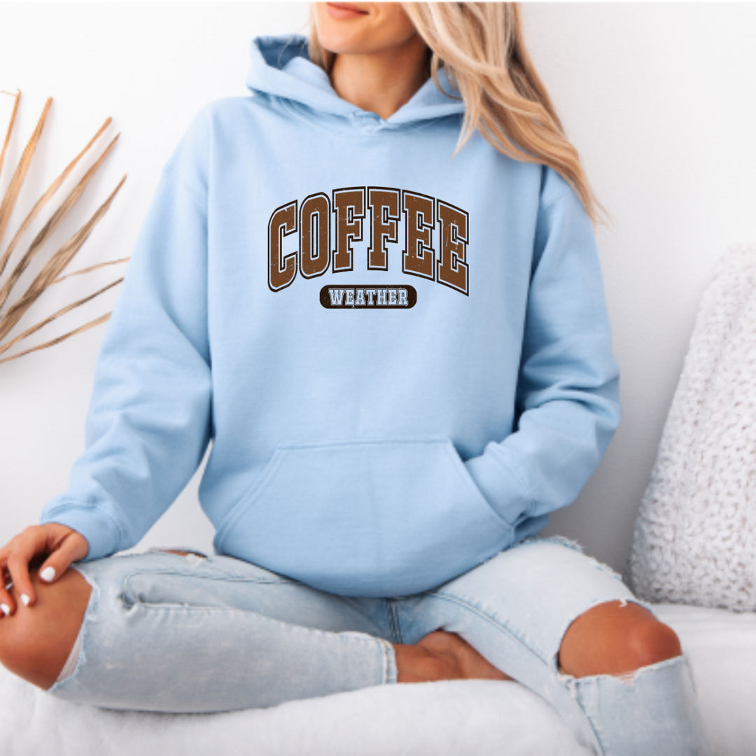 3-17 Hoodie adulte